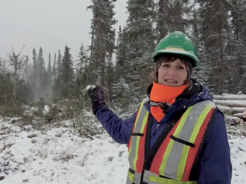 A chief forester explains her role in logging while standing in front of a logging operation in the winter