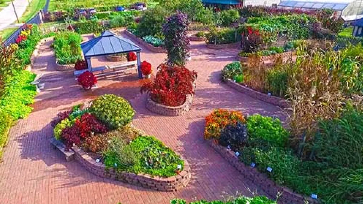 The Beanstalk Children’s Garden is a unique urban learning environment where children are invited to see, smell, touch and taste growing plants. They’ll gasp in wonder as they learn where their food is grown, discover new favorite foods and leave inspired to make healthy choices.