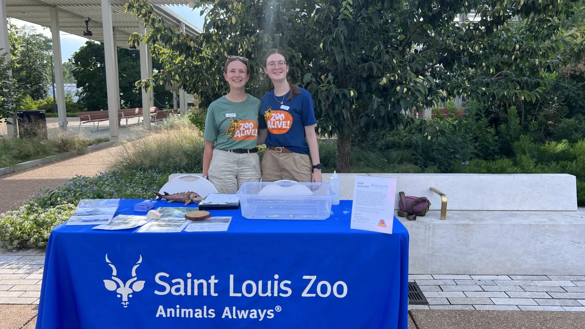 Two teen volunteers working an outreach event at the Botanical Gardens, educating families on plastic pollution and native fish. 