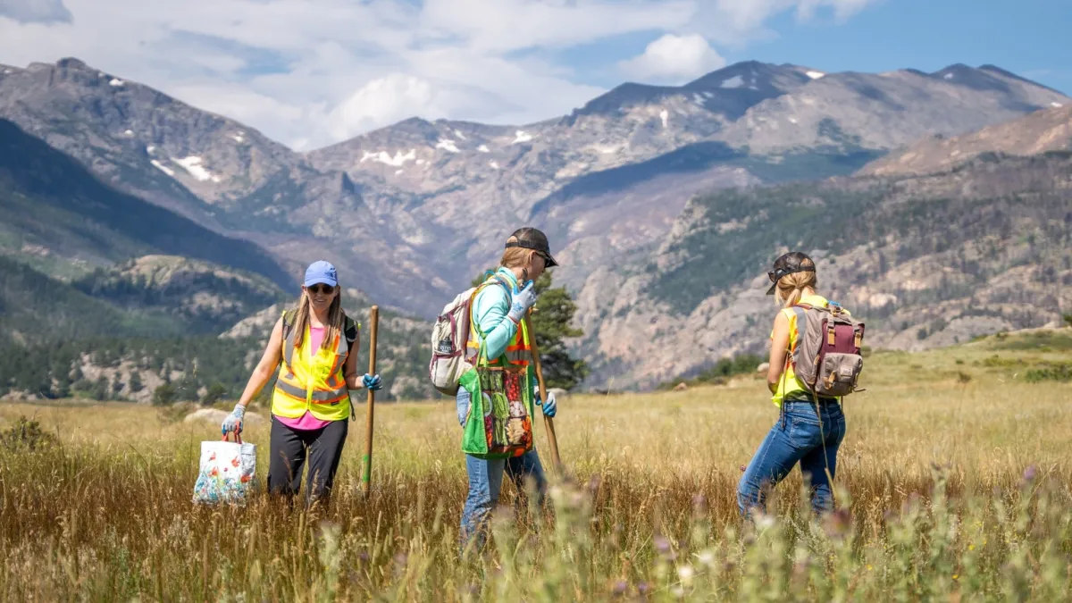 three people work outdoors in an open grassy field with Colorado mountains in the background