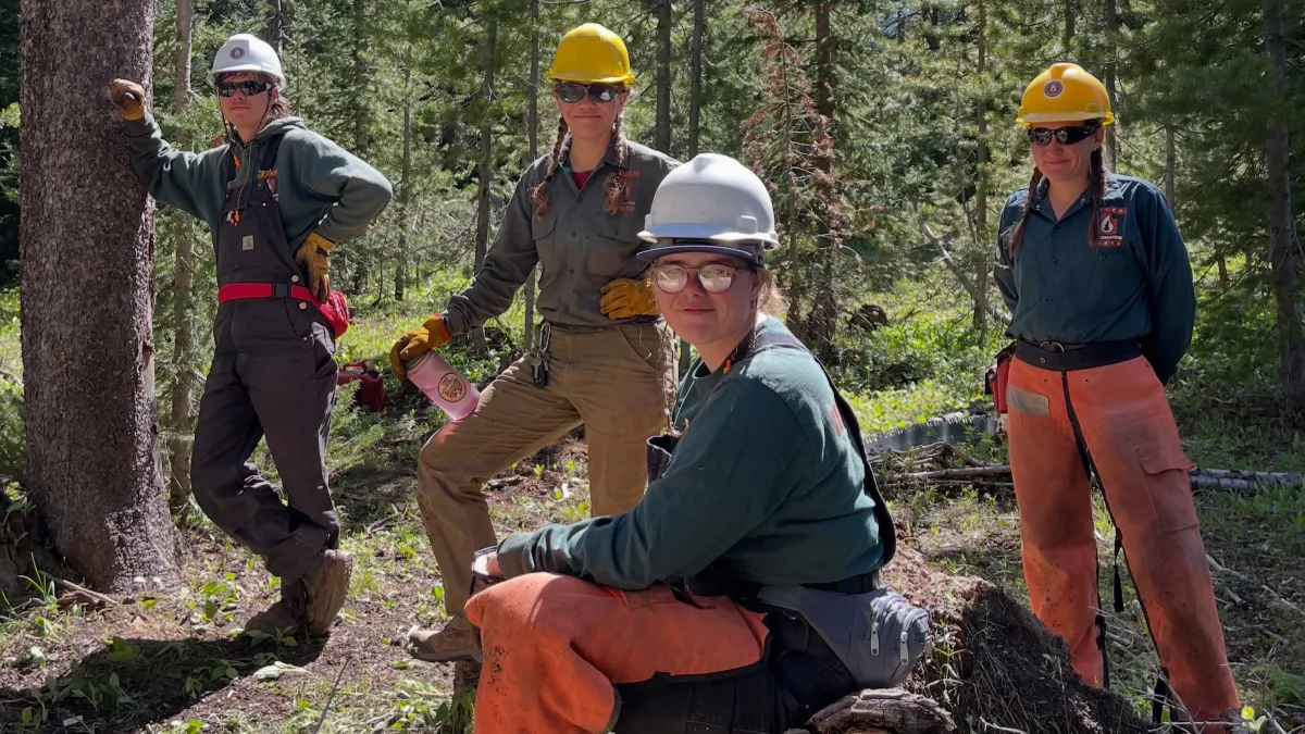 Utah Conservation Corps - several members stand in the forest looking at the camera