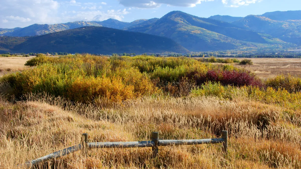 Swaner Preserve and EcoCenter