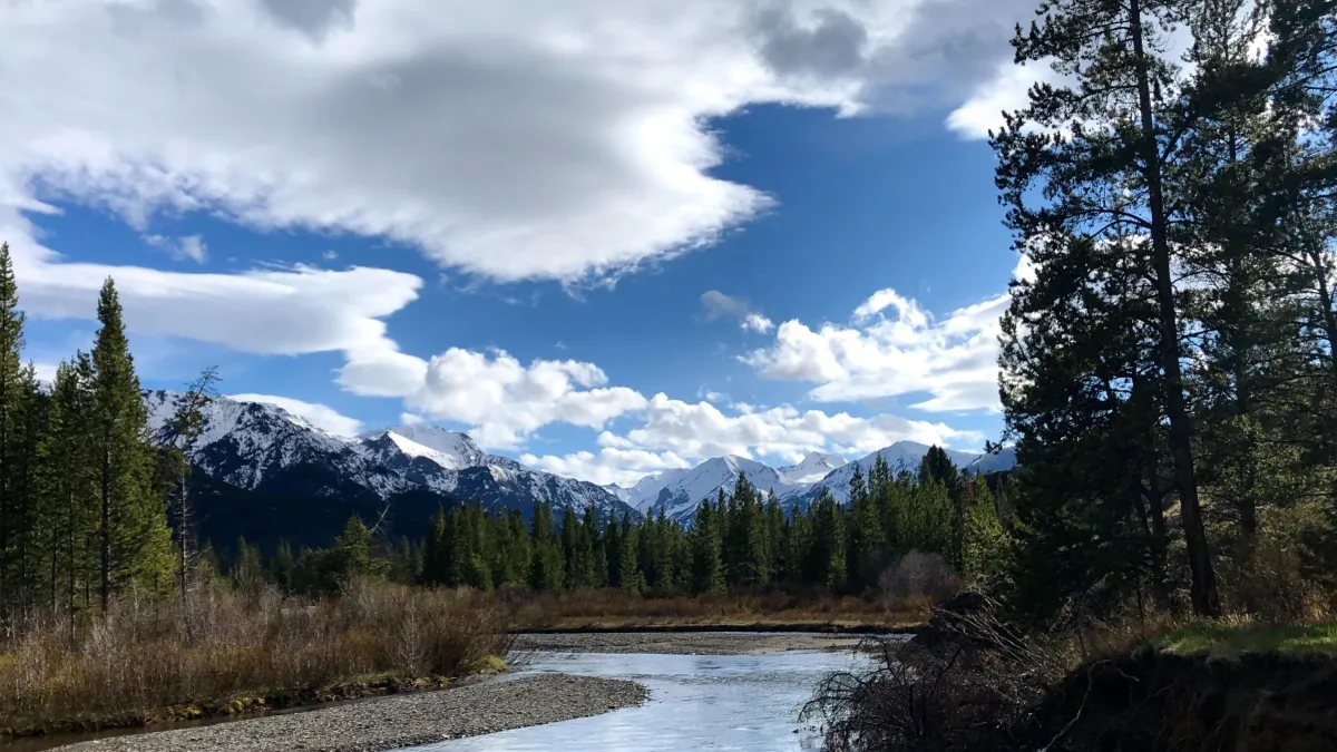 Wyoming Wilderness Association picture of river going through forest and meadow