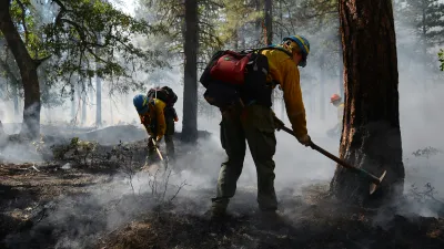 Workers in misty/smoky forest